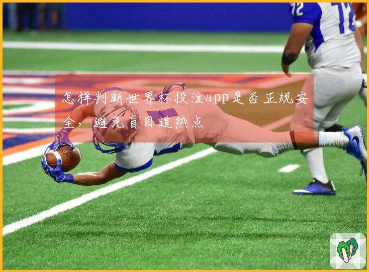 怎样判断世界杯投注app是否正规安全，避免盲目追热点